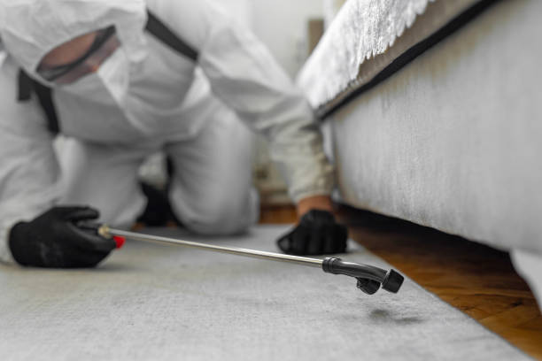 Professional Bed Bug Control technician working in New Johnsonville, TN