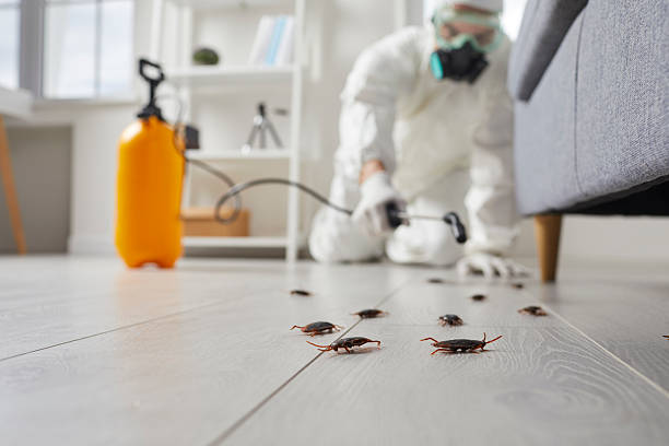 Trusted Mosquito Control service in New Johnsonville, TN - Nex Pest Control